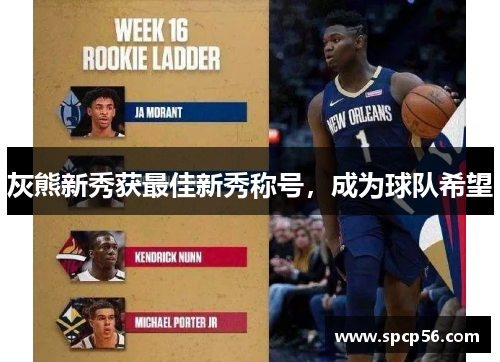 灰熊新秀获最佳新秀称号，成为球队希望